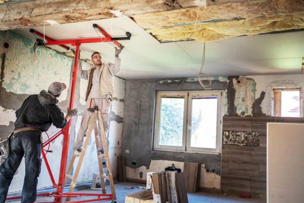 Best Wall Insulation Contractor  in Norwood, NY