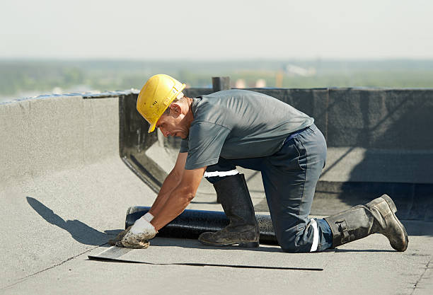 Best Best Insulation Companies  in Norwood, NY