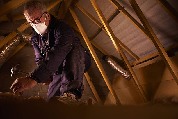 Best Insulation Contractor Near Me  in Norwood, NY